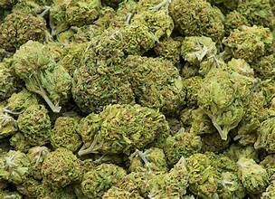 green buds