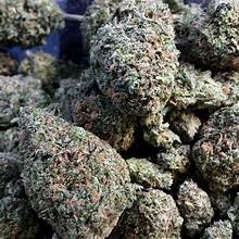 mids